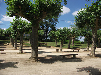 petanque