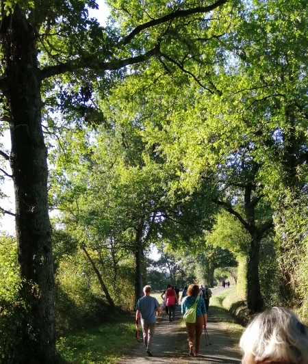 Randonnée pédestre à Lupiac