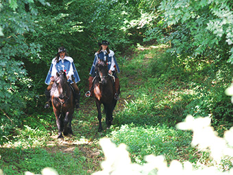 Randonnée équestre à Lupiac